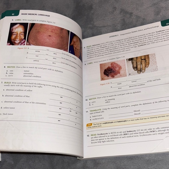 Basic Medical Language Notebook - Multicolor - Picture 4 of 5